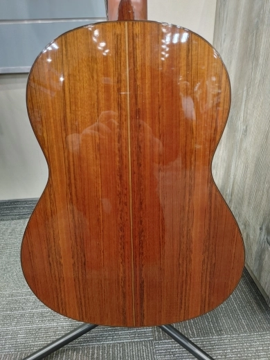Yamaha - CGTA NT 2
